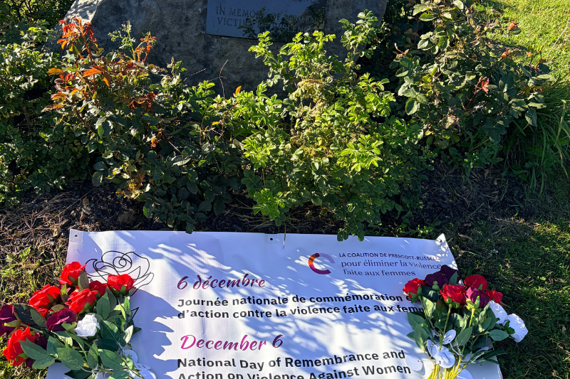 À Casselman, des rosiers fleuriront en mémoire des femmes victimes de violence